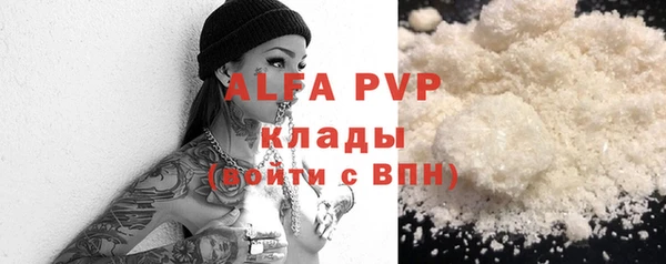 молекула духа Ельня