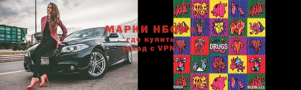 молекула духа Ельня