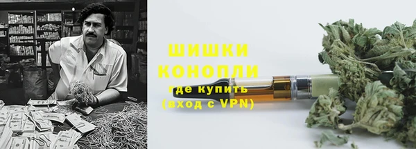 молекула духа Ельня