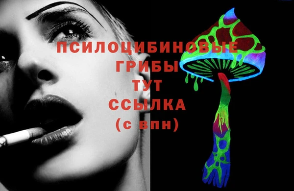 мдпв Елабуга