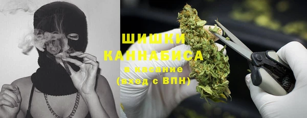 мдпв Елабуга