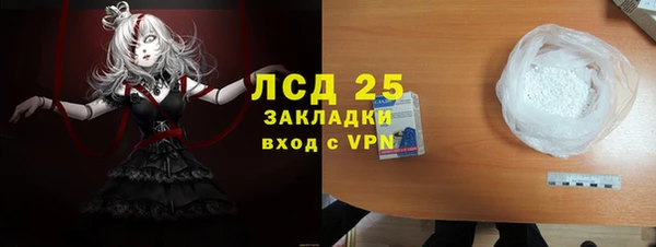 мдпв Елабуга