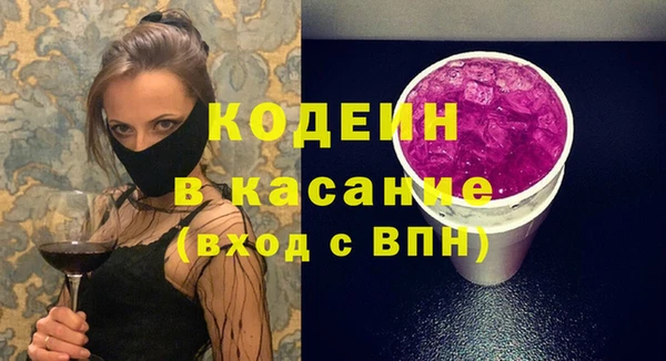 молекула духа Ельня