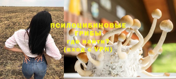мдпв Елабуга