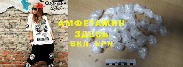 молекула духа Ельня