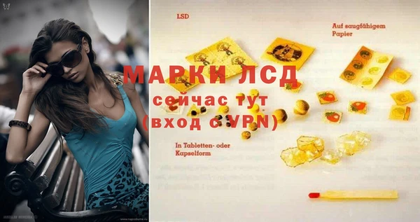 молекула духа Ельня