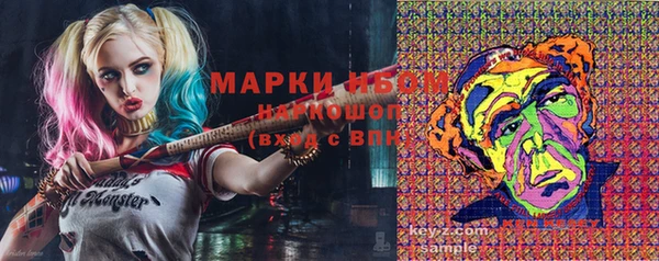 молекула духа Ельня